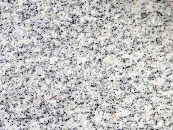 山东白麻为什么有高有低