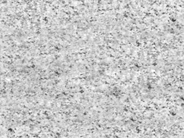 山东白麻为何适合做水景？